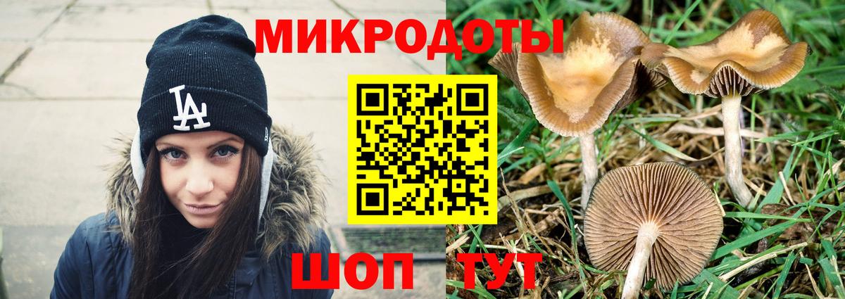 Галлюциногенные грибы мицелий  Вход с VPN  Галлюциногенные грибы прущие грибы  Таганрог 